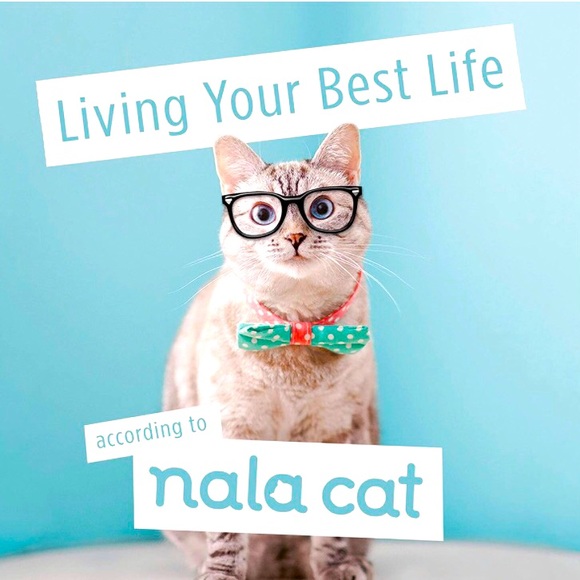 Nala Cat Book Living Your Best Life According to Nala Cat NWT